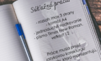 sutaz Dubcek 2